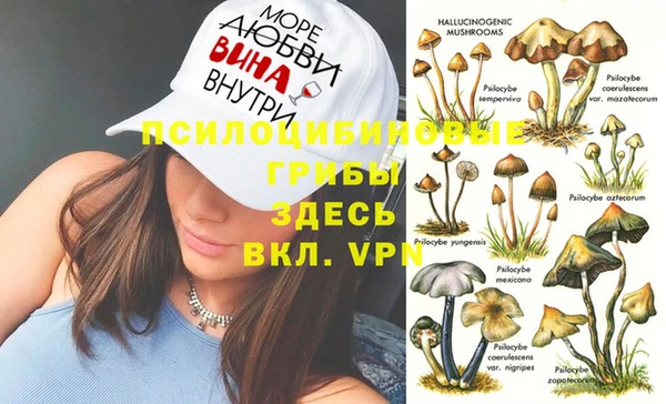 крисы Балабаново