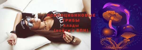 гашик Баксан