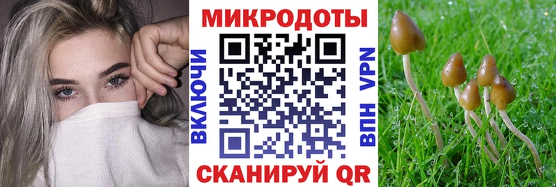 Галлюциногенные грибы MAGIC MUSHROOMS  Кремёнки 